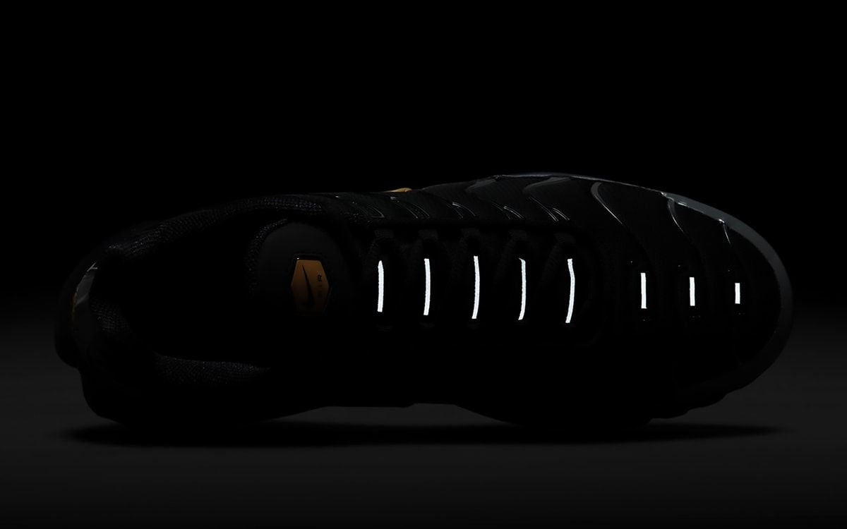 Nike Air Max Plus TN Batman